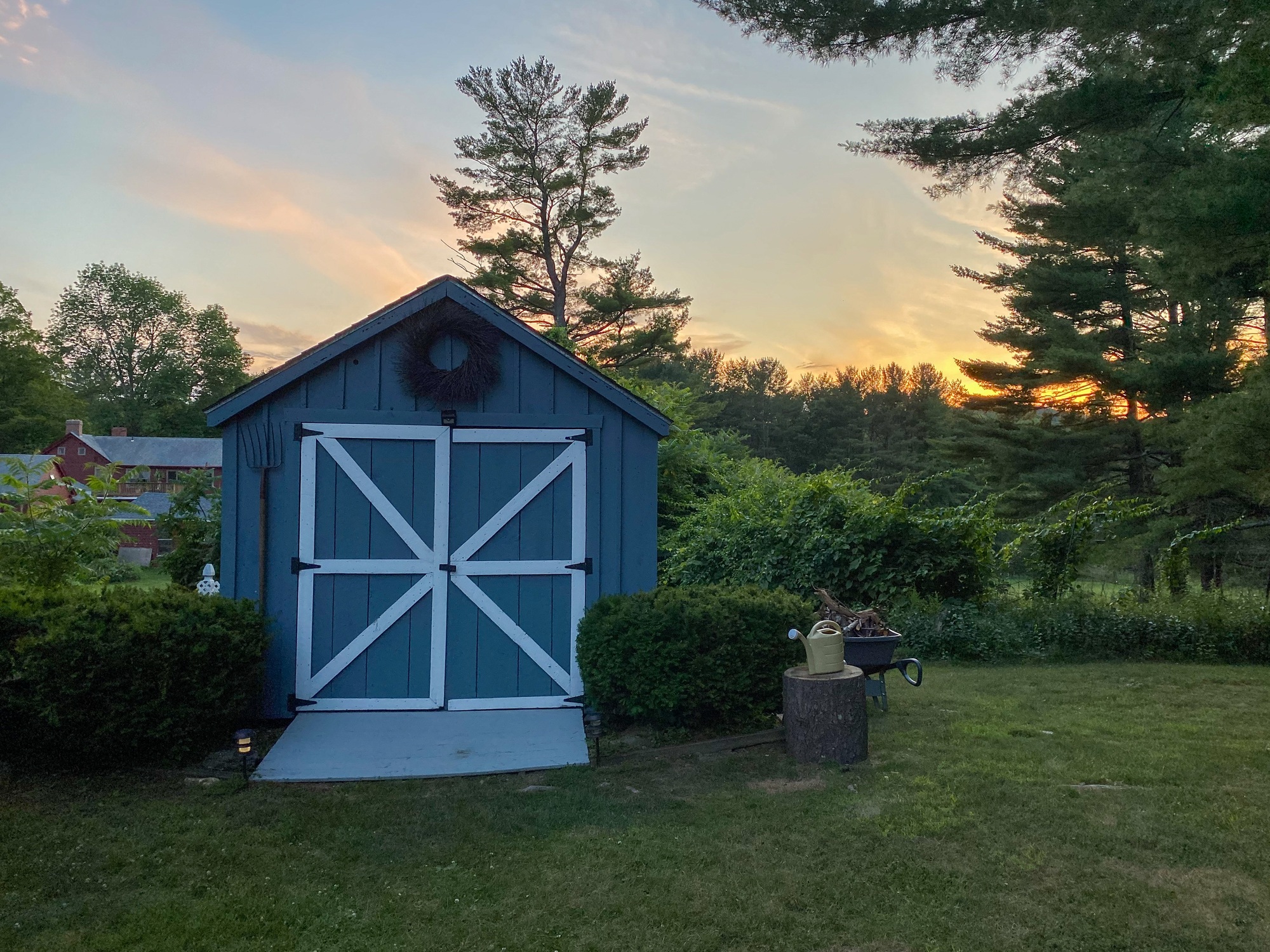 Blue garden shed in a suburban backyard.