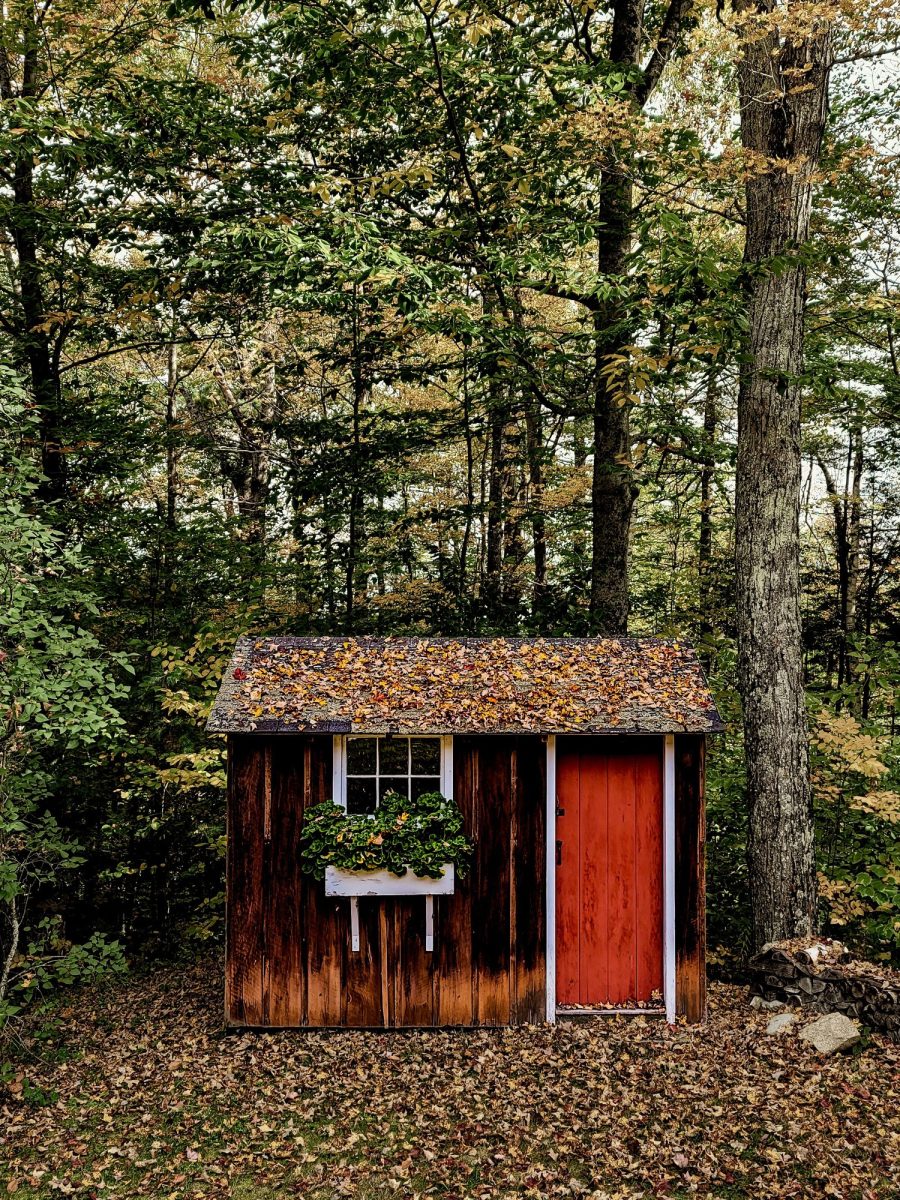 Vertical shot of a cozy shed in the woods at leaf-fall Vertical shot of a cozy shed in the woods at leaf-fall